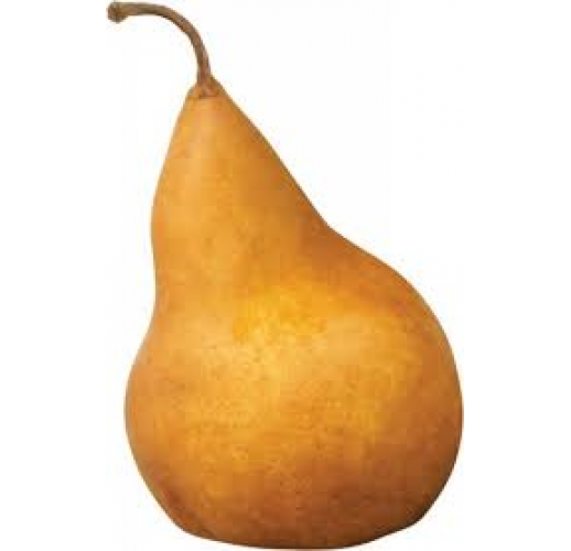 BOSC PEARS